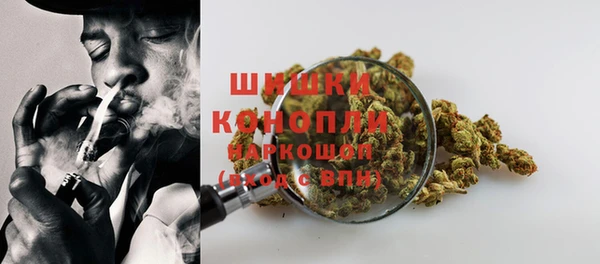 трава Абаза