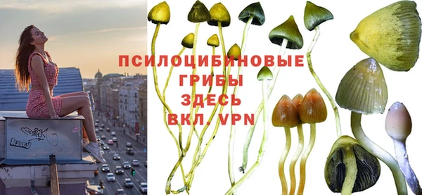 твердый Абдулино