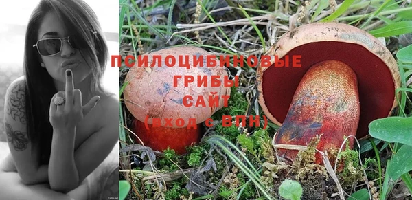 шишки Алексеевка