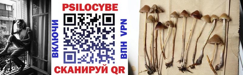 Псилоцибиновые грибы ЛСД  Рязань 